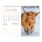 BrownTrout; Highland Cows | 2027 7.5 x 6 Inch Monthly Double-View Easel Desk Calendar; Category:Desk Calendars; Image:3
